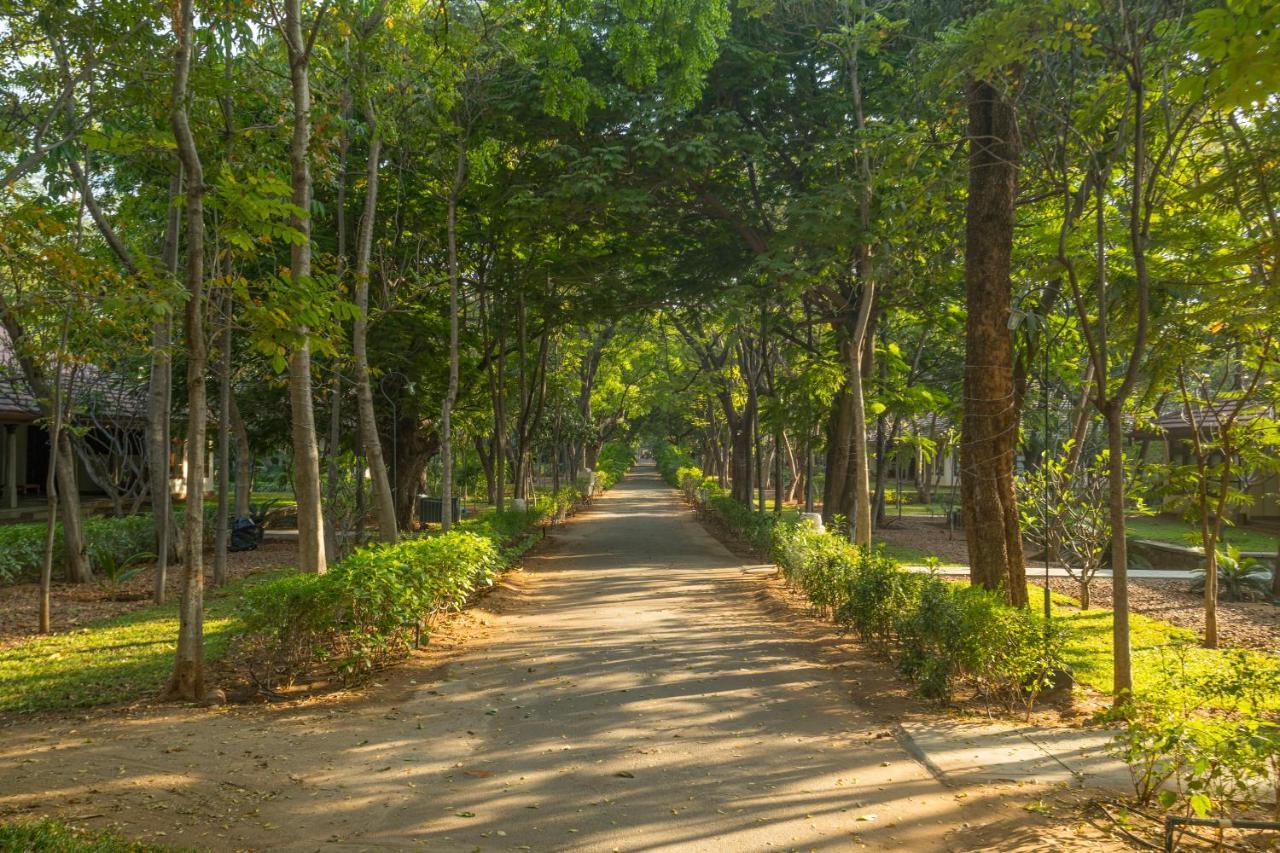 ザ ヘリテージ マドゥライ ホテル エクステリア 写真 A road in the park
